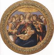 Sandro Botticelli Madonna and Child with six Angels or Madonna of the Pomegranate (mk36) Norge oil painting reproduction